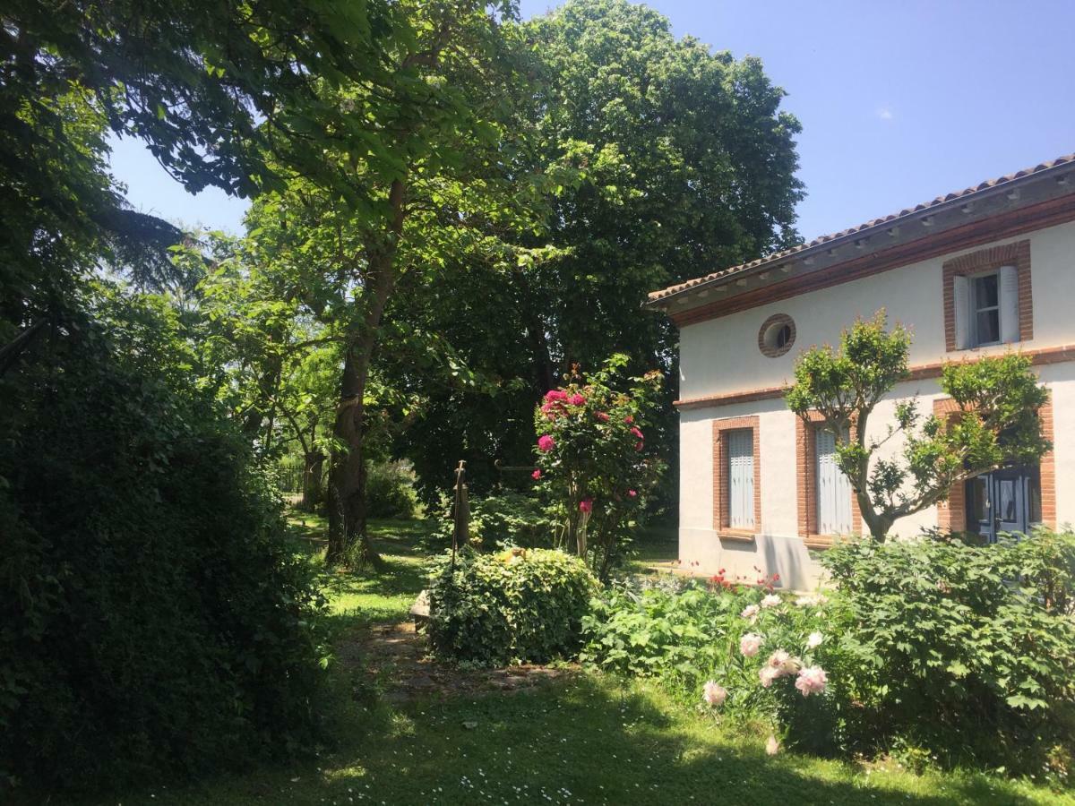 Villa Toulousaine Grisolles  Экстерьер фото