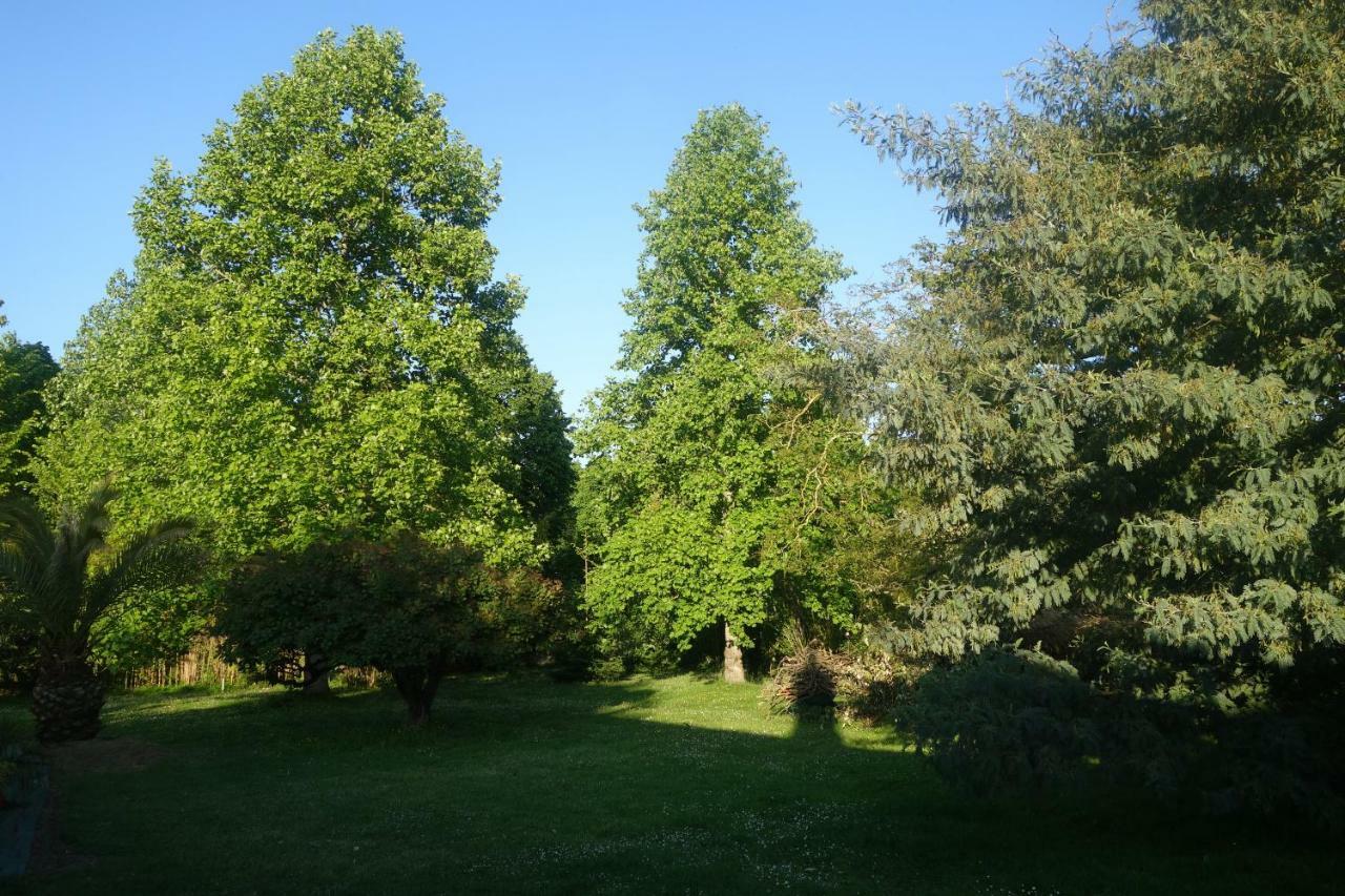Villa Toulousaine Grisolles  Экстерьер фото