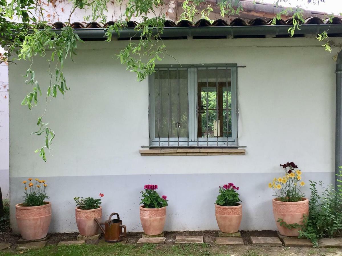 Villa Toulousaine Grisolles  Экстерьер фото